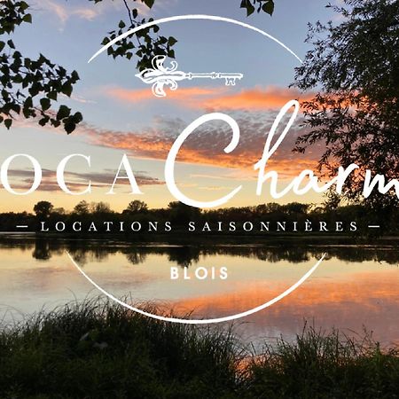 "Gite Les Futreaux" Vue Sur Loire & Linge Inclus 布鲁瓦 外观 照片